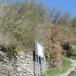 Einstieg Buchsbaum-Wanderpfad in Karden