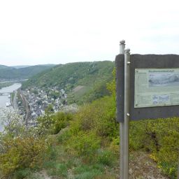 Infotafel Moselterrassenlandschaft