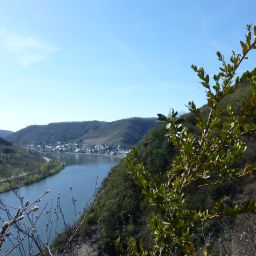 Blick vom Wanderpfad nach Karden