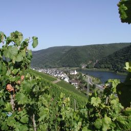 Blick vom Weinberg auf Müden